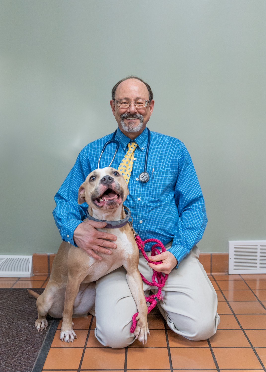 Our Team Lyndon Veterinary Clinic Fayetteville, NY